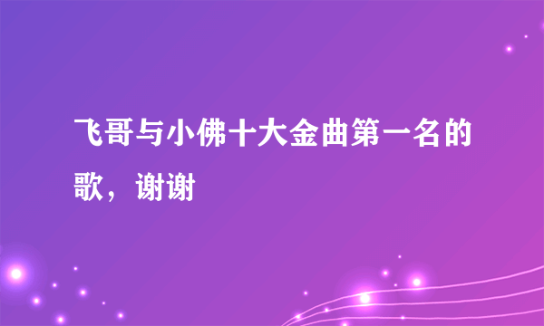 飞哥与小佛十大金曲第一名的歌，谢谢