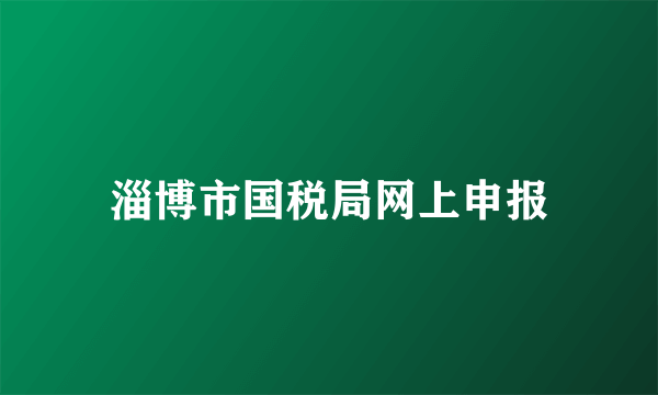 淄博市国税局网上申报