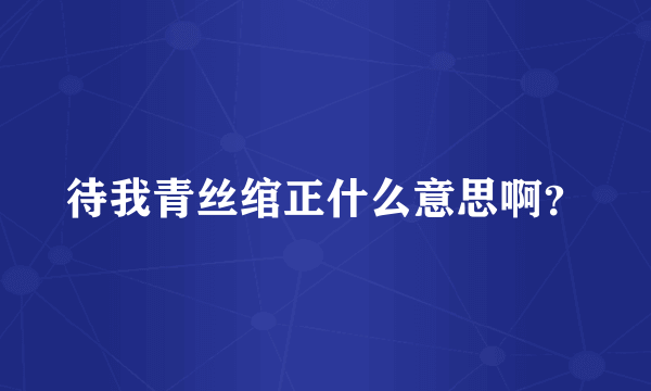 待我青丝绾正什么意思啊？
