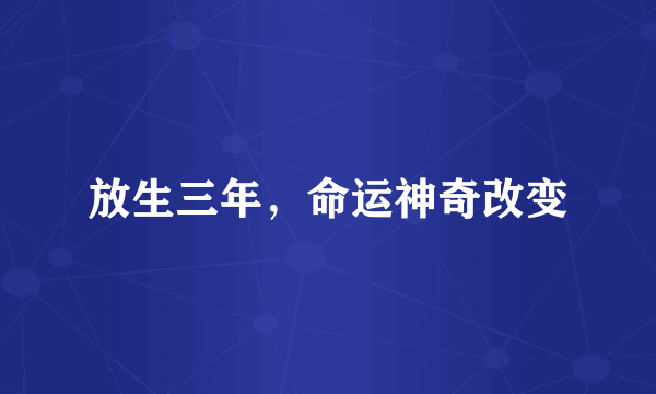 放生三年，命运神奇改变