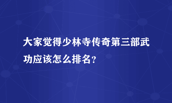 大家觉得少林寺传奇第三部武功应该怎么排名？