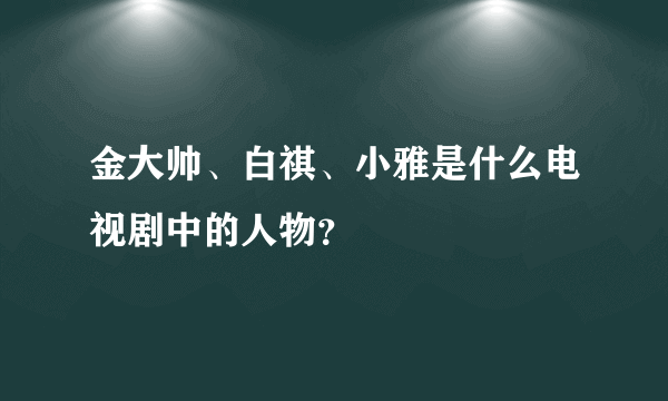 金大帅、白祺、小雅是什么电视剧中的人物？