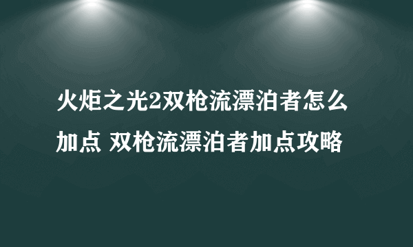 火炬之光2双枪流漂泊者怎么加点 双枪流漂泊者加点攻略