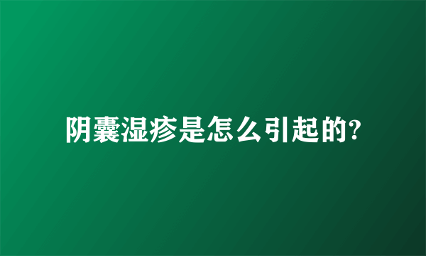 阴囊湿疹是怎么引起的?