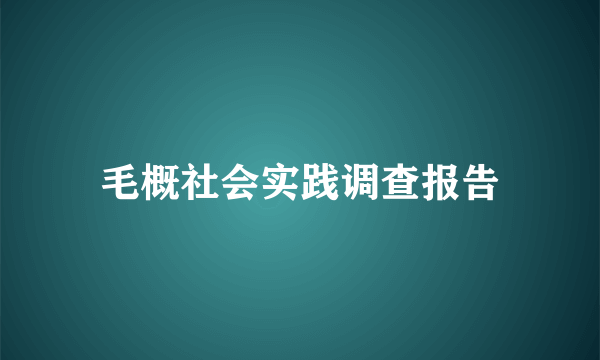 毛概社会实践调查报告