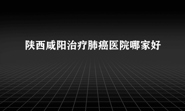 陕西咸阳治疗肺癌医院哪家好