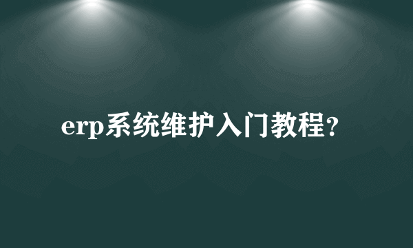 erp系统维护入门教程？