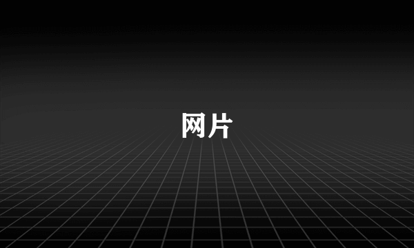 网片