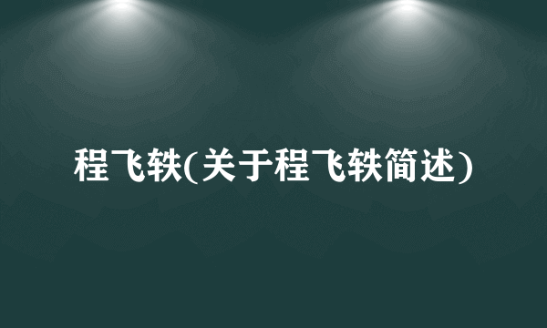 程飞轶(关于程飞轶简述)