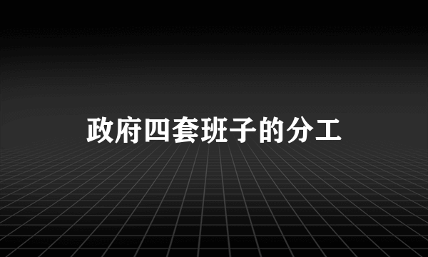 政府四套班子的分工