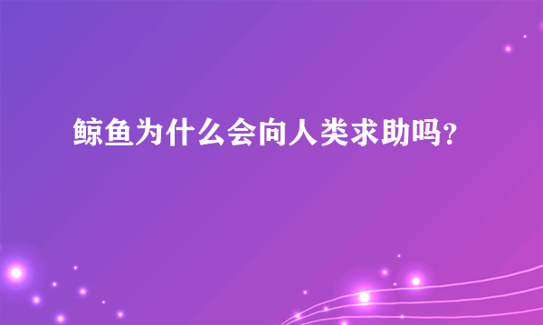 鲸鱼为什么会向人类求助吗？