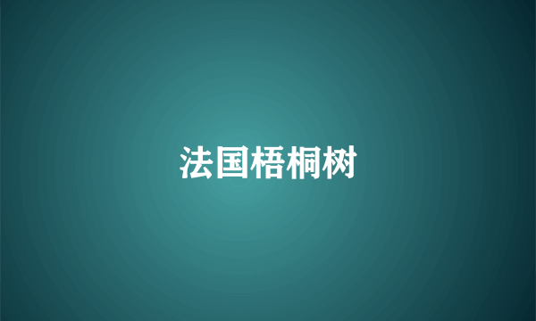 法国梧桐树