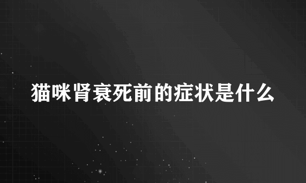 猫咪肾衰死前的症状是什么