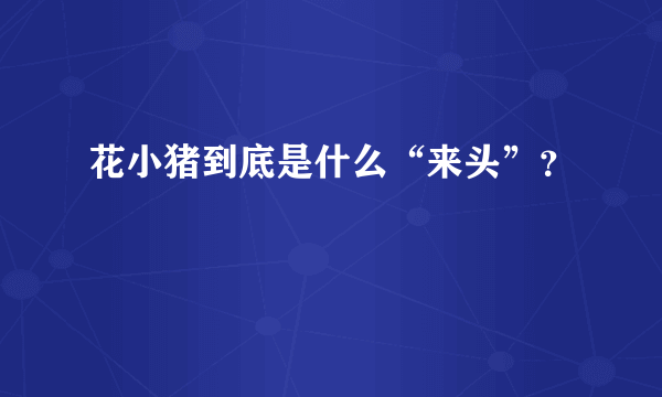 花小猪到底是什么“来头”？