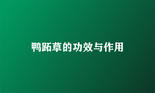 鸭跖草的功效与作用