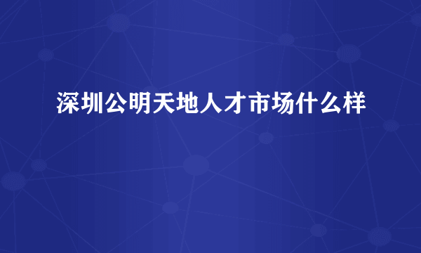 深圳公明天地人才市场什么样
