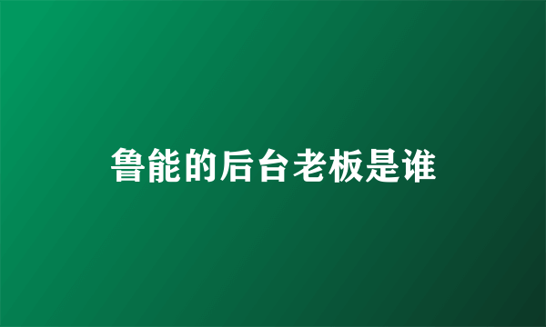 鲁能的后台老板是谁