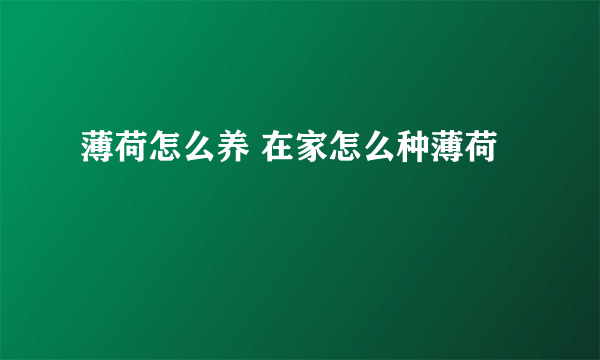 薄荷怎么养 在家怎么种薄荷