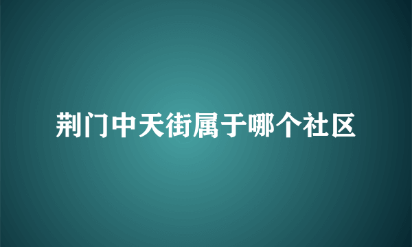 荆门中天街属于哪个社区