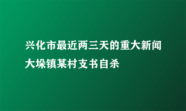 兴化市最近两三天的重大新闻大垛镇某村支书自杀