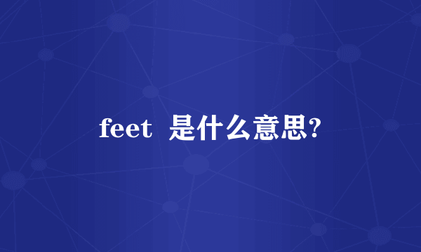 feet  是什么意思?