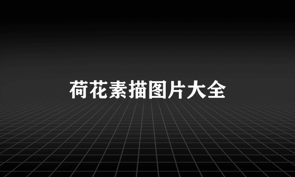 荷花素描图片大全