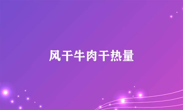 风干牛肉干热量