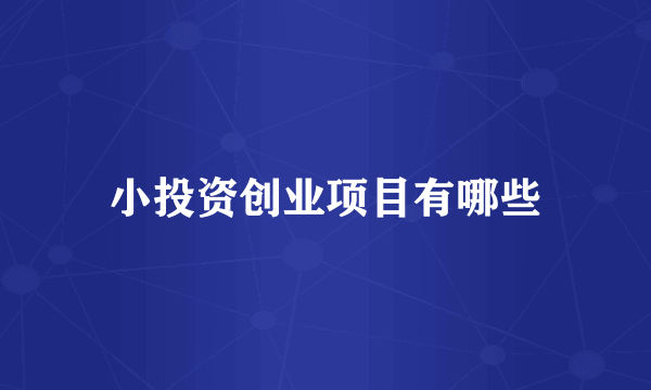 小投资创业项目有哪些