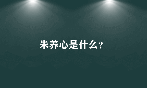 朱养心是什么？