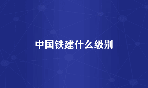 中国铁建什么级别