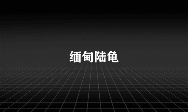 缅甸陆龟