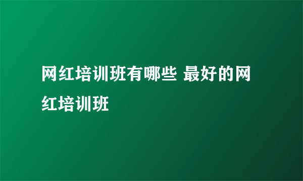 网红培训班有哪些 最好的网红培训班