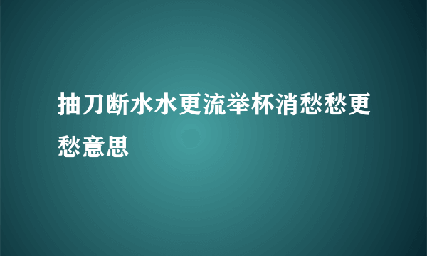 抽刀断水水更流举杯消愁愁更愁意思