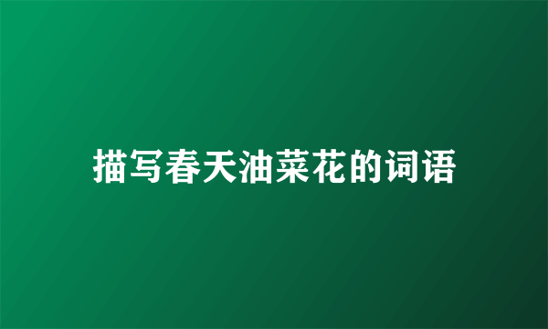 描写春天油菜花的词语