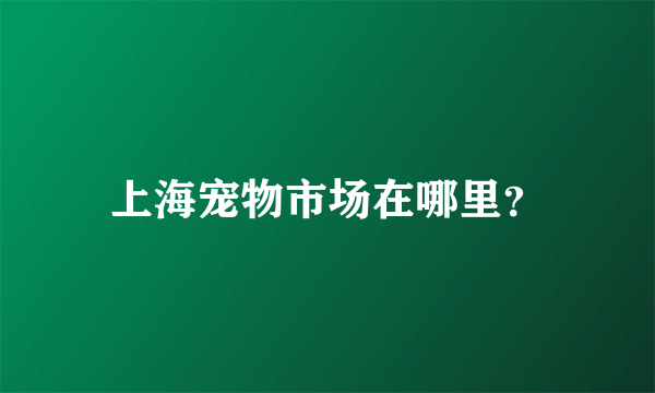上海宠物市场在哪里？