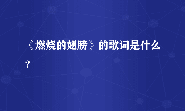 《燃烧的翅膀》的歌词是什么？