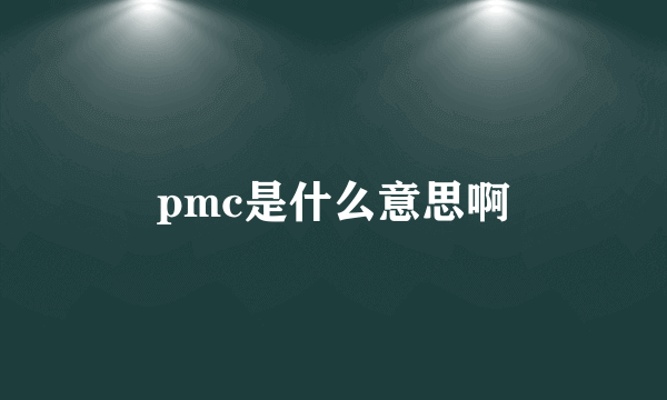 pmc是什么意思啊
