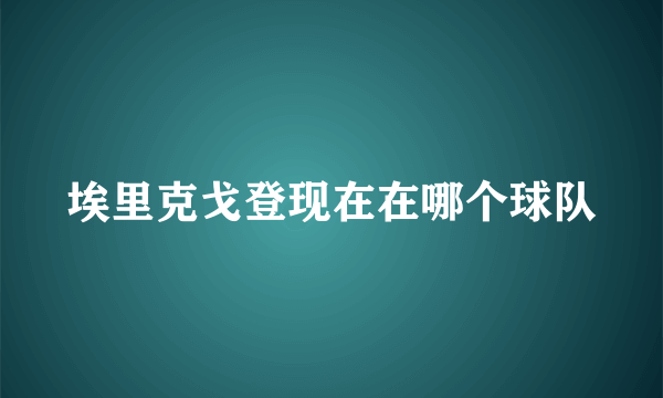 埃里克戈登现在在哪个球队