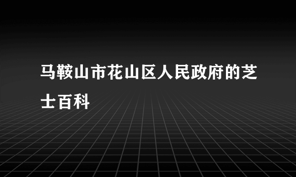 马鞍山市花山区人民政府的芝士百科