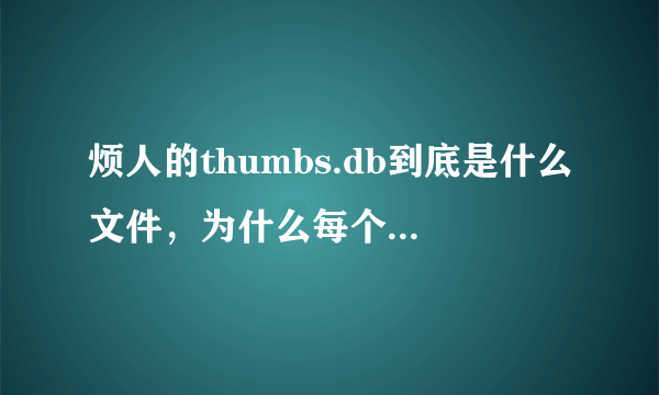 烦人的thumbs.db到底是什么文件，为什么每个文件夹里都有，而且删了它又会自动生成。