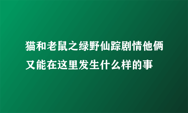 猫和老鼠之绿野仙踪剧情他俩又能在这里发生什么样的事