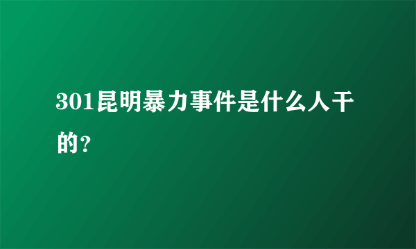 301昆明暴力事件是什么人干的？