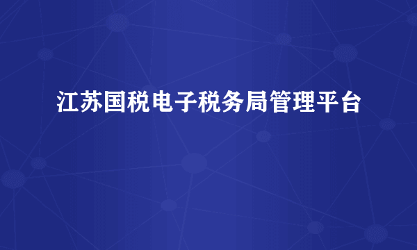 江苏国税电子税务局管理平台