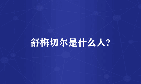舒梅切尔是什么人?