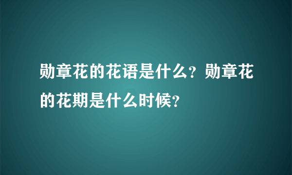 勋章花的花语是什么？勋章花的花期是什么时候？