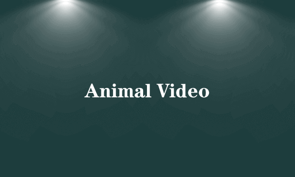 Animal Video