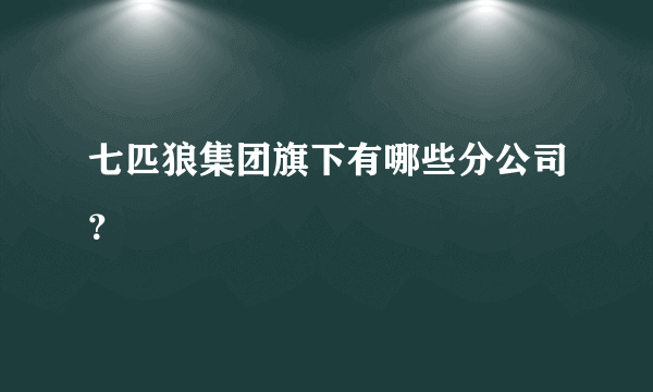 七匹狼集团旗下有哪些分公司？