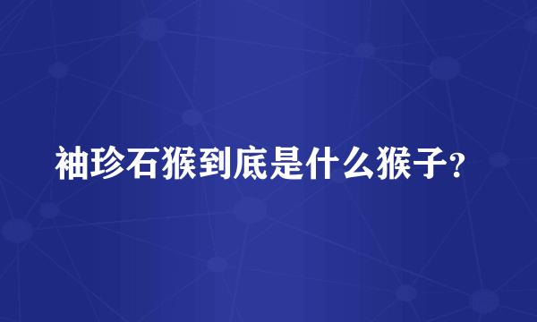 袖珍石猴到底是什么猴子？