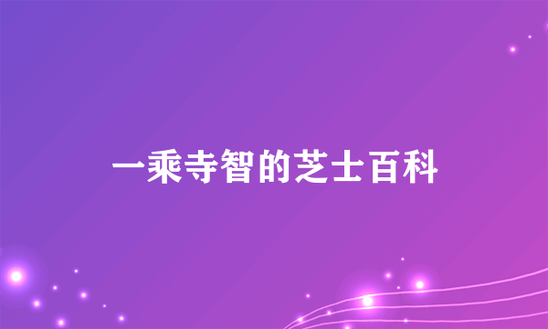 一乘寺智的芝士百科