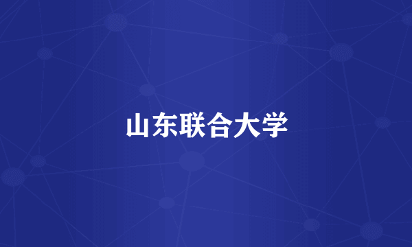 山东联合大学